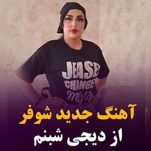 دانلود آهنگ دیجی شبنم - یالا شوفر یالا